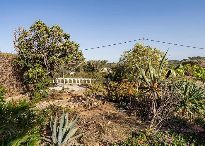 Casa Elja Valencia - Long Remote Work Montserrat